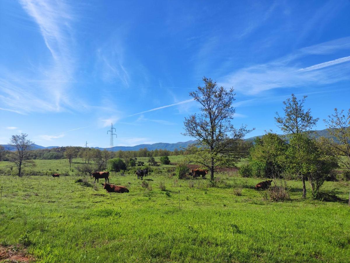 Velebit Lodge Lovinac  Buitenkant foto