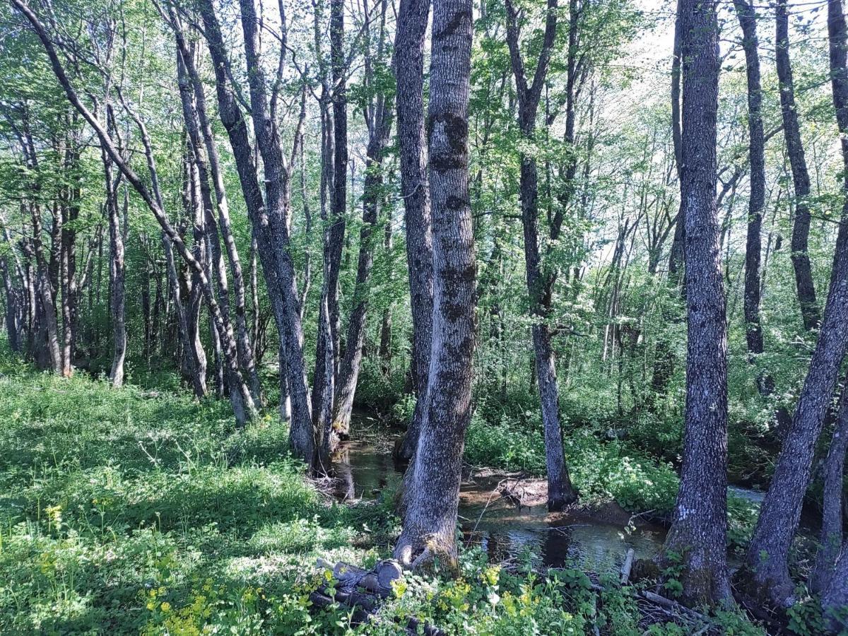 Velebit Lodge Lovinac  Buitenkant foto